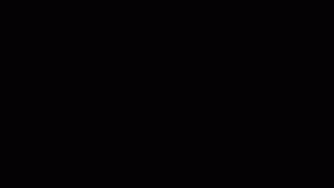 gif inserimento carta tachigrafica