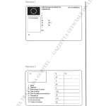 CQC - D.L. 285/2005